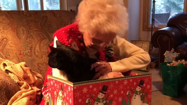 Реакция бабушки на подарок ☺️ #чёрныйкот смотреть онлайн