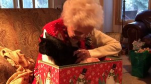 Реакция бабушки на подарок ☺️ #чёрныйкот