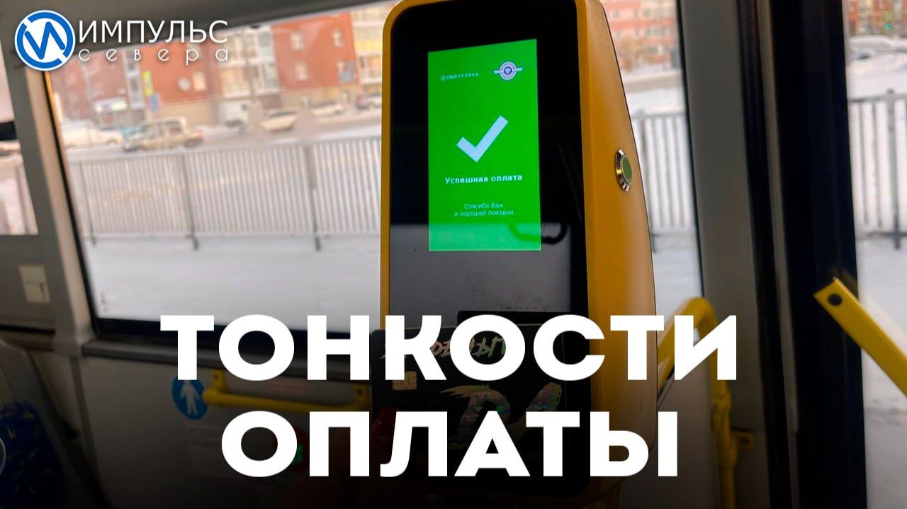 В МУПАТ рассказали, как вывести карту из «чёрного списка» и как ездить по «Морошке» смотреть онлайн