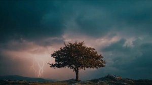 Частота души ✨