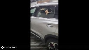 Chery TIGGO 7 PRO MAX, 2023