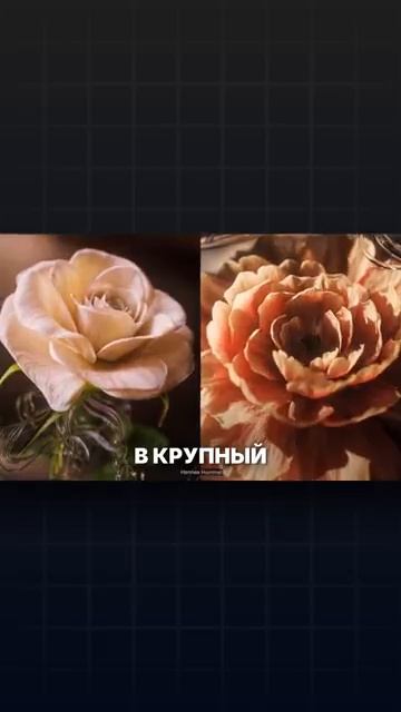 КРИПТОВАЛЮТА БАЙБИТ КРИПТОВАЛЮТА / 加密貨幣 BYBIT 貿易 / CRYPTOCURRENCY BYBIT CRYPTOCURRENCY смотреть онлайн