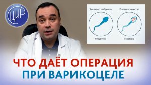 Зачем делать операцию на варикоцеле, если можно сделать ЭКО? Уролог-андролог ЦИР Э.Р. Абдулхакимов.