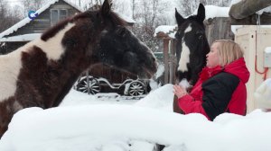 «Время волонтёров»: Ирина Бурмистрова и благотворительный фонд «Кентавр»