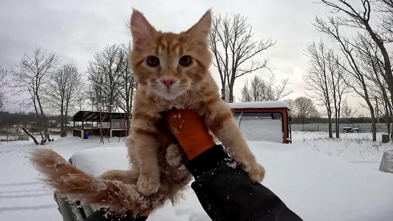 Поехал и обломался ! Как лебёдку буду крепить ?!ХУТОР В ЛЕСУ №942 смотреть онлайн