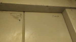 Лифт МЛЗ 1994 года. Саранск, Ярославская 25, 2 п