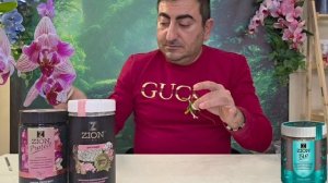 Адаптация Фаленопсиса мериклона .