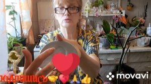 🖋️🚀ПО УТРА  ВСЕГДА ТАК И Я РАДУЮСЬ 💃🔥МО  БУДНИ 🖋️🚀