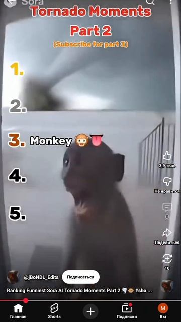 макаки смотреть онлайн