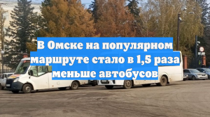 В Омске на популярном маршруте стало в 1,5 раза меньше автобусов