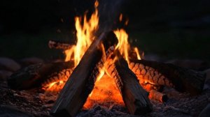 Видео горящего костра на 5 часов атмосферный вечерний костер на поляне визуал для кафе и ресторанов