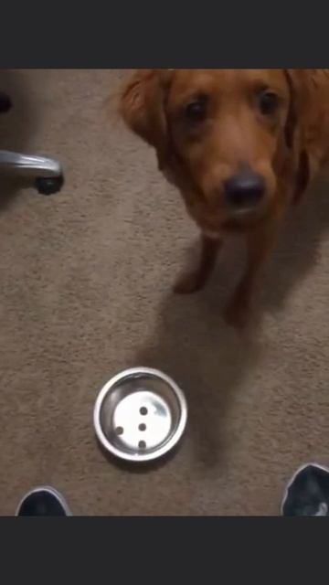 Кажется, вы разбудили зверя 😂 смотреть онлайн