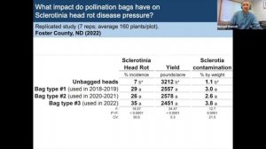 Склеротиниоз корзинки подсолнечника 2023 год
