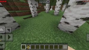 Я играю в хадхор в Minecraft