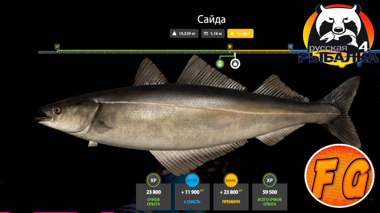 Фарм на 30 Банке. Трофей Сайды. Русская рыбалка 4. рр4. Russian Fishing 4 смотреть онлайн