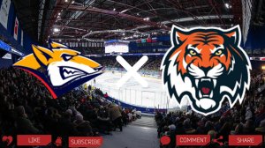 Металлург - Амур | Текстовая трансляция