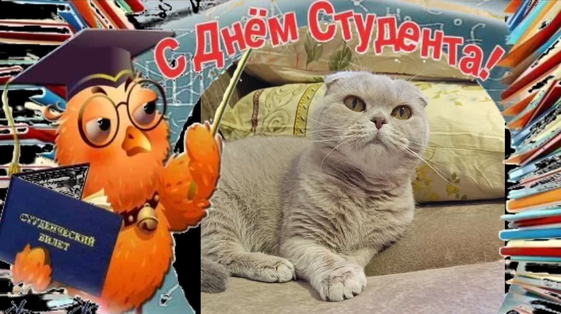 ПОЗДРАВЛЕНИЕ С ДНЁМ СТУДЕНТА! смотреть онлайн