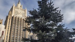 МИД РФ предложил расширить наказание за несообщение о втором гражданстве