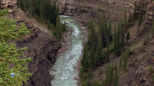 Чудеса природы 5 серия (документальный сериал, 2011) смотреть онлайн