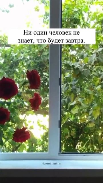 Никто не знает, что будет завтра. Шейх Шамиль аш-Шафи'ий. смотреть онлайн