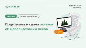 Подготовка и сдача отчетов об использовании лесов