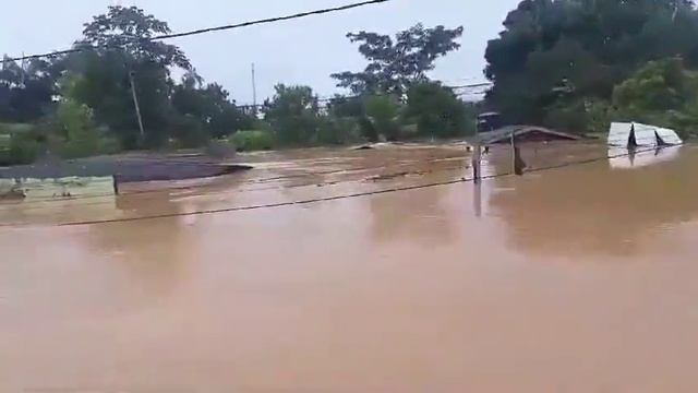 Масштабное наводнение в Бразилея (Акри, Бразилия, 27.02.2024). смотреть онлайн