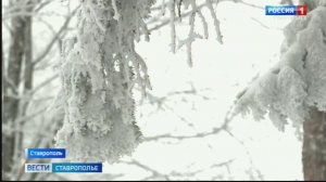 Ставрополье готовится к снежному удару стихии