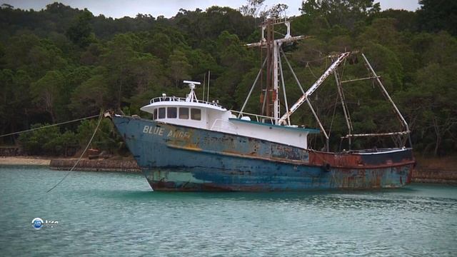 Чудеса природы 22 серия (документальный сериал, 2011) смотреть онлайн