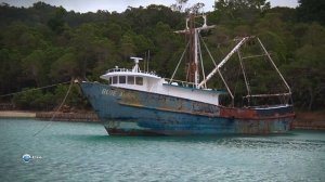 Чудеса природы 22 серия (документальный сериал, 2011)