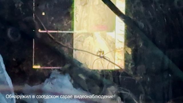 Пальмы. Море. СУГРОБЫ. Зима -10 в Анапе 2026