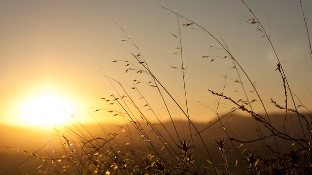 Христианства радостные зори.. (музыка) смотреть онлайн