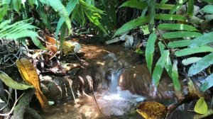 Спокойная музыка для релаксации со звуками журчания воды