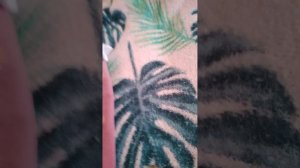 наш день с реборном Мией