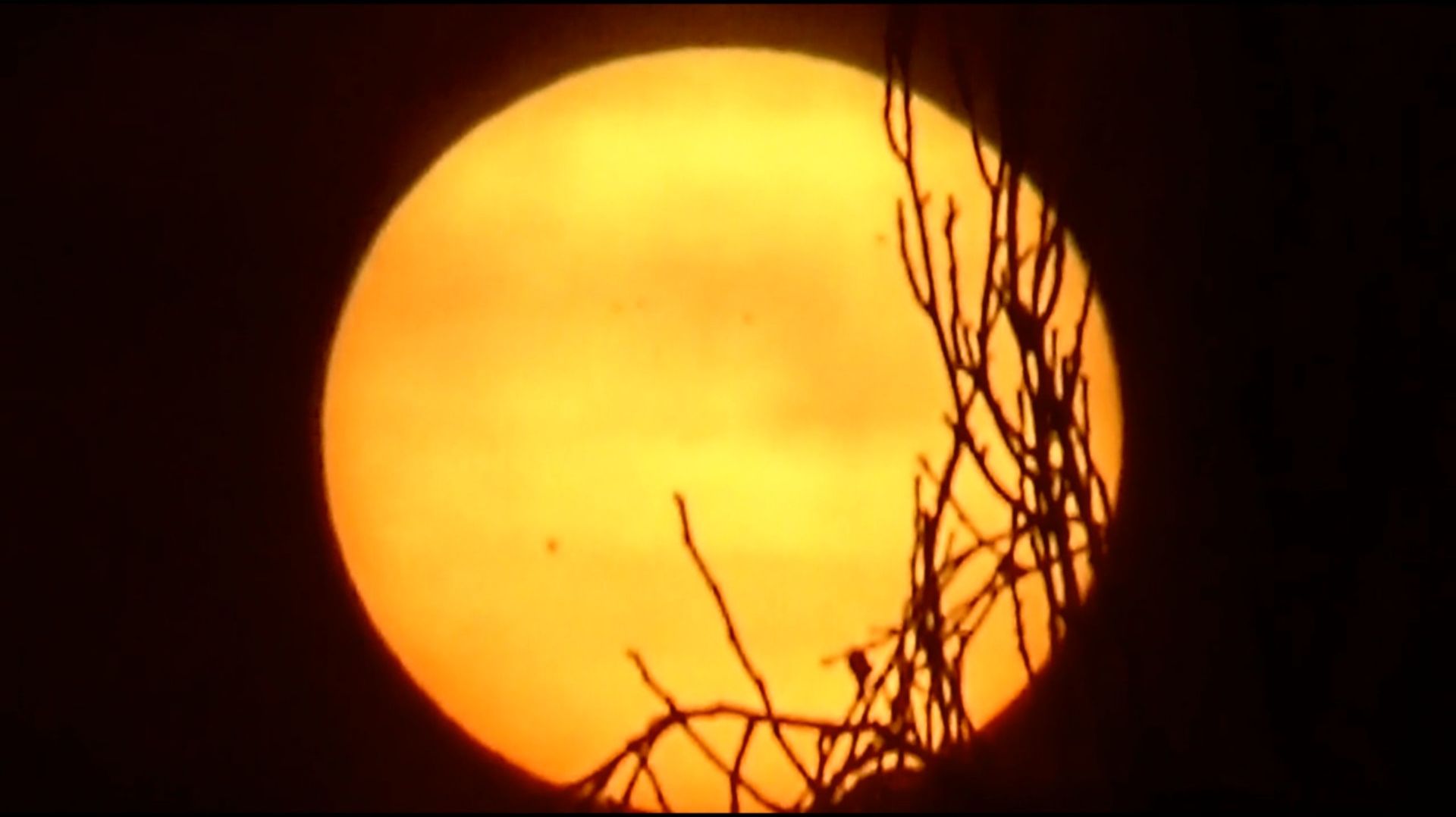 Солнце сквозь морозную дымку. Съемка 23.01.2026 смотреть онлайн