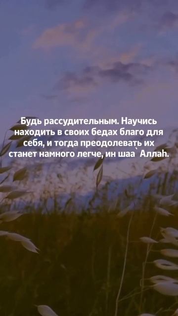 Будь рассудительным. Шейх Шамиль аш-Шафи'ий. смотреть онлайн