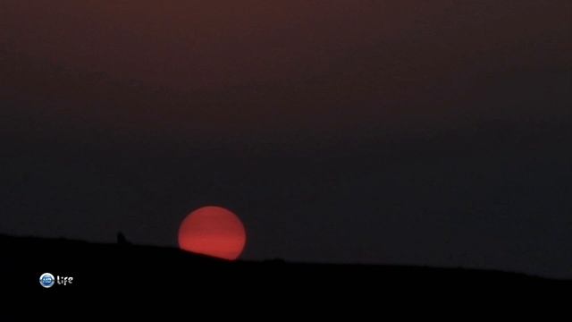 Чудеса природы 13 серия (документальный сериал, 2011) смотреть онлайн