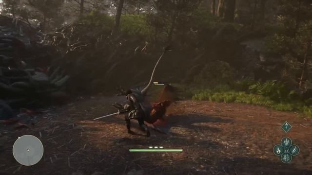 Fable | геймплей с презентации Xbox Developer_Direct смотреть онлайн