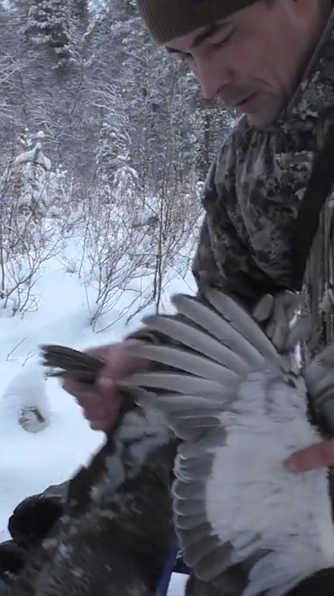 Охота на тетерева с оптическим прицелом ARTELV 4–16×50 FFP 30 мм смотреть онлайн