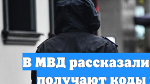 В МВД рассказали, что мошенники получают коды под предлогом записи в учреждения