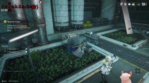 🇷🇺 ★Разное★🐈 *PC* 🐍 |7e9|