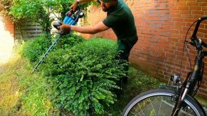 ТИПИЧНЫЙ садовый ДЕНЬ в Германии