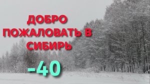 Жизнь в деревне Выживание в минус сорок Куры-несушки
