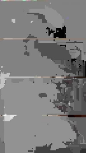 отвечаю на ваши вопросы либо просто разговариваю