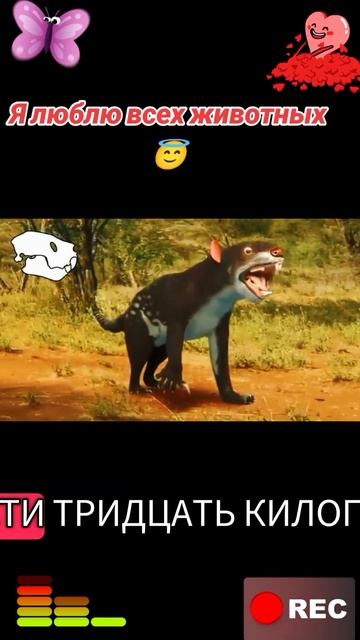 Я люблю всех животных😇 смотреть онлайн