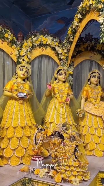 Васанта-панчами — благоприятный даршан Шри Шри Радха-Мадхавы 🌺 смотреть онлайн