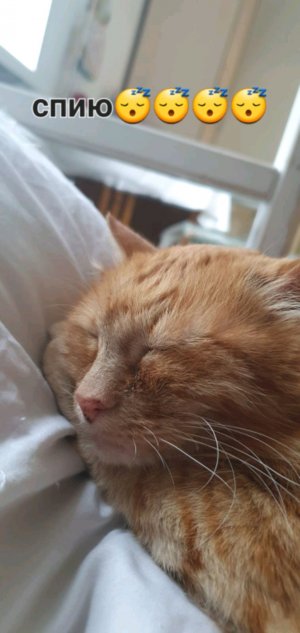 Показываем нашего друга Карима