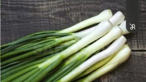 ЧТО ДЕЛАТЬ КОГДА ПЕРЬЯ ЛУКА ПАДАЮТ.