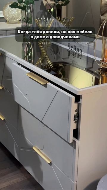 Когда тебя довели но вся мебель в доме с доводчиками 
