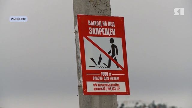 Местный формат. Программа от 24.01.2026 смотреть онлайн