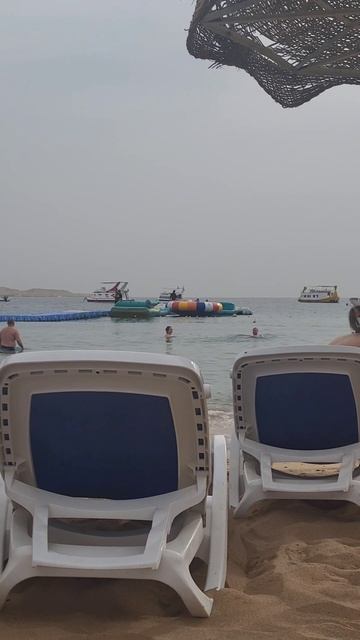 Берите в Египет мухобойки... смотреть онлайн